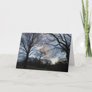 Centraal Park B Kaart