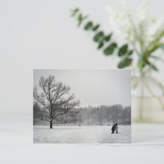 Centraal park, Briefkaart (Staand voorkant)