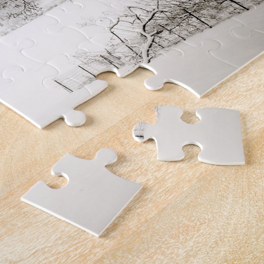 Centraal Park - De mooie wintersneeuw Legpuzzel (Zijkant)