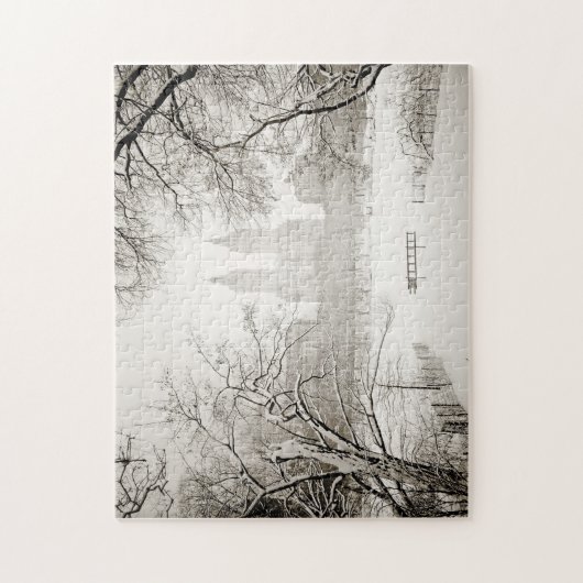 Centraal Park - De mooie wintersneeuw Legpuzzel (Verticaal)