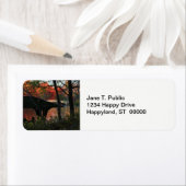 Centraal Park: gesprek over de brug van Bow Etiket (Insitu)