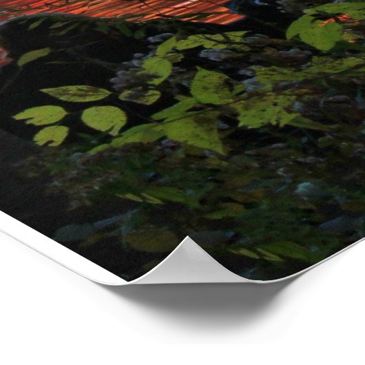 Centraal Park: gesprek over de brug van Bow Poster (Hoek)