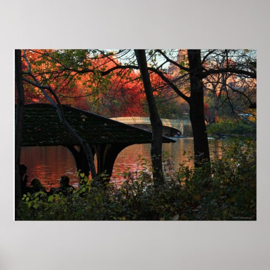 Centraal Park: gesprek over de brug van Bow Poster (Voorkant)