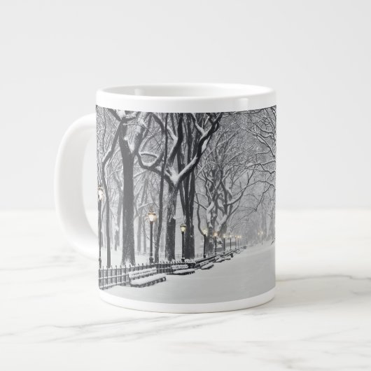 Centraal Park in de winter 2 Grote Koffiekop (Links)