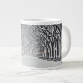 Centraal Park in de winter 2 Grote Koffiekop (Voorkant rechts)