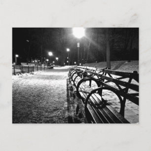 Centraal Park in de winter Briefkaart