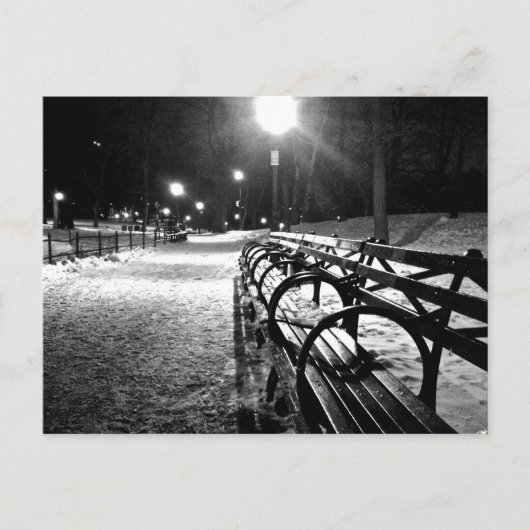Centraal Park in de winter Briefkaart (Voorkant)