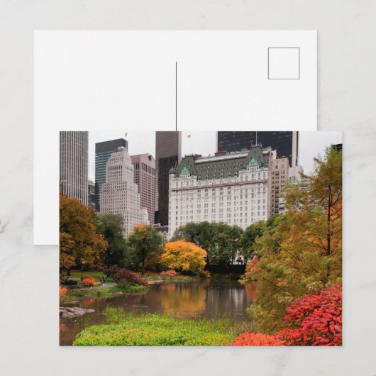 Centraal Park in het najaar van het briefkaart (Voorkant / Achterkant)