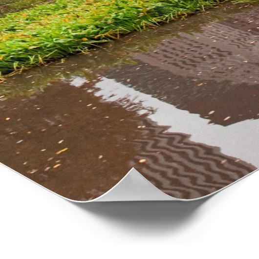 Centraal Park in het najaar van het poster (Hoek)