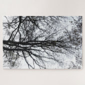 Centraal Park laat najaar bijna Barren Tree B&W Legpuzzel (Horizontaal)