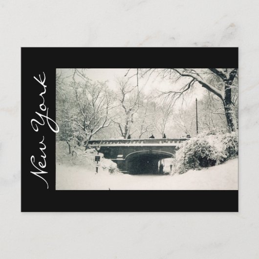 centraal park new york briefkaart (Voorkant)