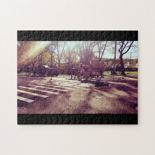 CENTRAAL PARK NEW YORK LEGPUZZEL (Horizontaal)