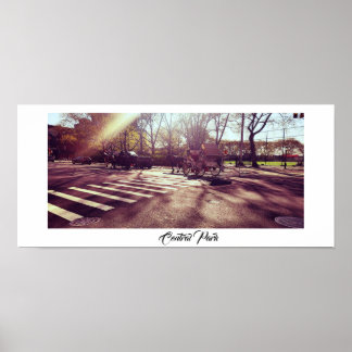 CENTRAAL PARK NEW YORK POSTER