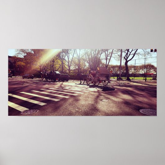 CENTRAAL PARK NEW YORK POSTER (Voorkant)