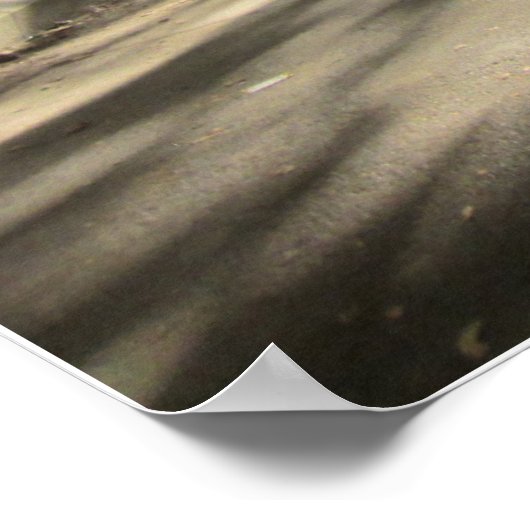 Centraal Park Poster (Hoek)