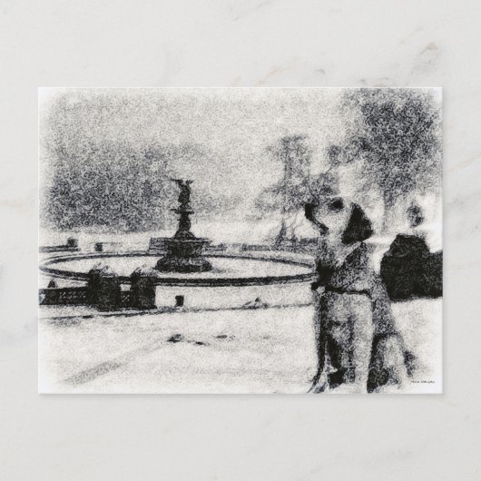 Centraal Park "Snowy Golden by Bethesda Fountain" Briefkaart (Voorkant)