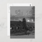 Centraal Park "Snowy Uitzicht from Bow Bridge", NY Briefkaart (Voorkant / Achterkant)