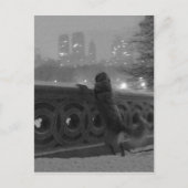 Centraal Park "Snowy Uitzicht from Bow Bridge", NY Briefkaart (Voorkant)