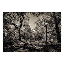 Centraal Park uitzicht Black and White Autumn