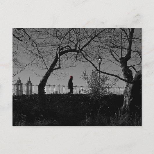 Centraal Park Walker Briefkaart (Voorkant)