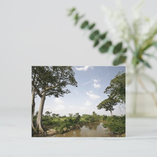 Centraal-Togo, West-Afrika. Briefkaart (Staand voorkant)