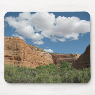 Centraal Utah-landschap Muismat