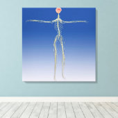 Centraal zenuwstelsel met humaan brein canvas afdruk (Insitu (Houten vloer))