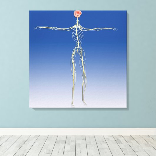 Centraal zenuwstelsel met humaan brein canvas afdruk (Insitu (Houten vloer))