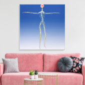 Centraal zenuwstelsel met humaan brein canvas afdruk (Insitu (Woonkamer))