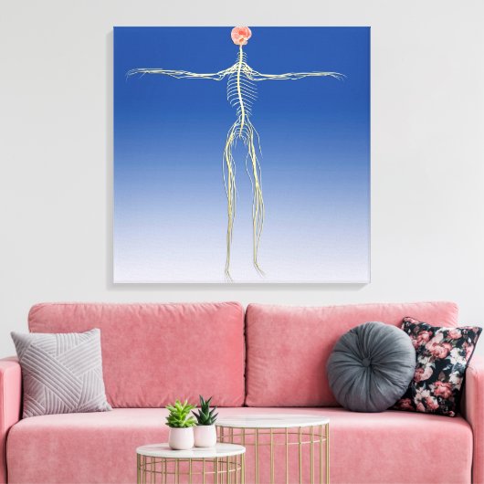 Centraal zenuwstelsel met humaan brein canvas afdruk (Insitu (Woonkamer))