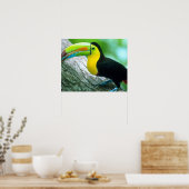 CENTRAL AMERICA, Panama, Borro Colorado Island 2 Poster (Keuken)