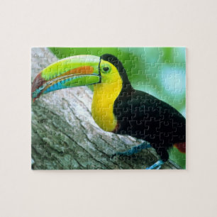CENTRAL AMERICA, Panama, Eiland Barro Colorado 2 Legpuzzel
