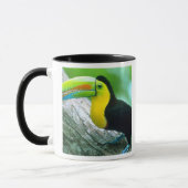 CENTRAL AMERICA, Panama, Eiland Barro Colorado 2 Mok (Links)