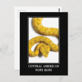Central American Nope Rope - Viper Snake Danger Briefkaart (Voorkant / Achterkant)