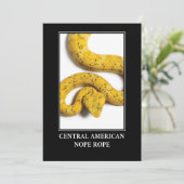 Central American Nope Rope - Viper Snake Danger Kaart (Staand voorkant)