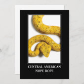 Central American Nope Rope - Viper Snake Danger Kaart (Voorkant / Achterkant)