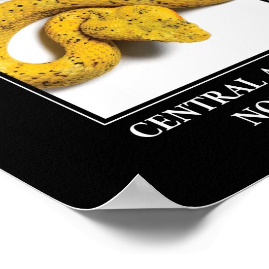 Central American Nope Rope - Viper Snake Danger Poster (Hoek)