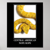 Central American Nope Rope - Viper Snake Danger Poster (Voorkant)
