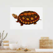 Central American Wood Turtle Print (Keuken)
