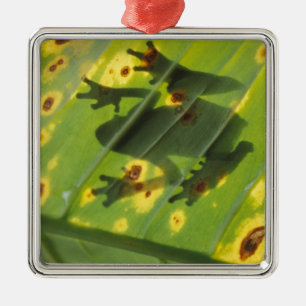 CENTRAL AMERIKA, Costa Rica, Achtergrondverlichte  Metalen Ornament