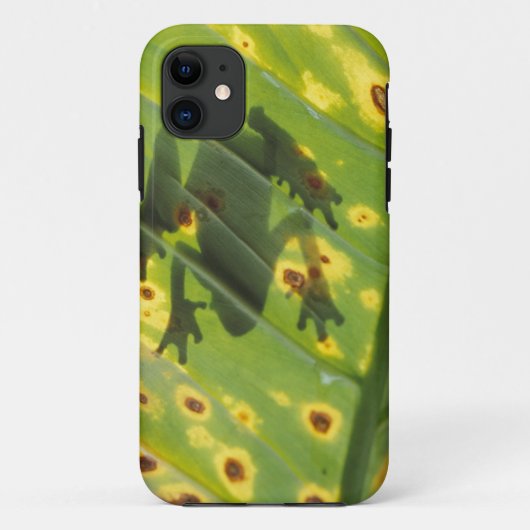 CENTRAL AMERIKA, Costa Rica, Achterlicht kikker op Case-Mate iPhone Case (Achterkant)