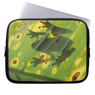 CENTRAL AMERIKA, Costa Rica, Achterlicht kikker op Laptop Sleeve