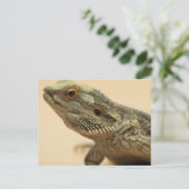 Central Bearded Lizard Close-up Briefkaart (Staand voorkant)