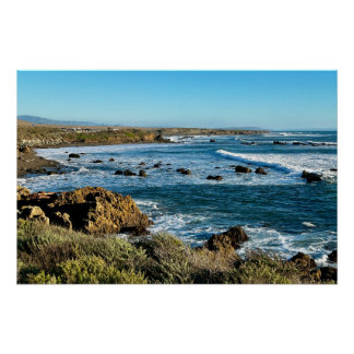 Central CA Coast Splash & Splendor Perfect Poster