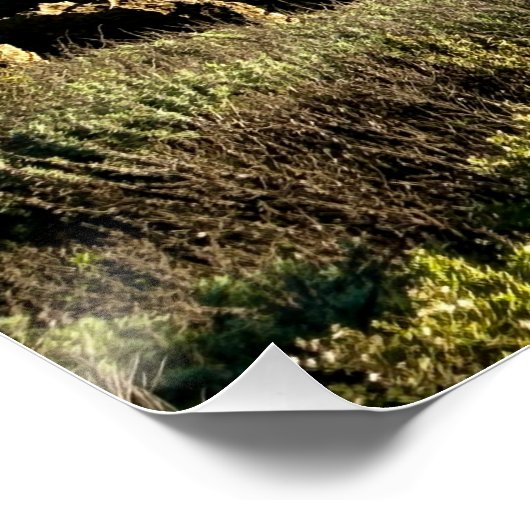 Central CA Coast Splash & Splendor Perfect Poster (Hoek)