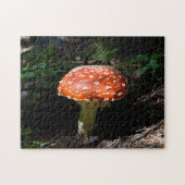 Central Cascades, staat Washington Legpuzzel (Horizontaal)