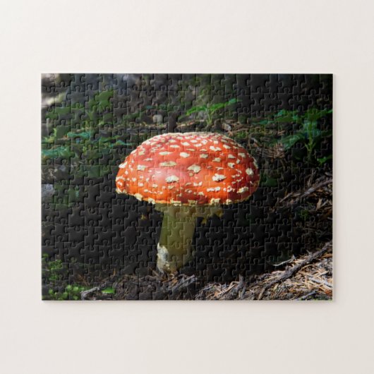 Central Cascades, staat Washington Legpuzzel (Horizontaal)