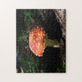 Central Cascades, staat Washington Legpuzzel (Verticaal)