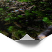 Central Cascades, staat Washington Poster (Hoek)