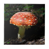 Central Cascades, staat Washington Tegeltje (Voorkant)